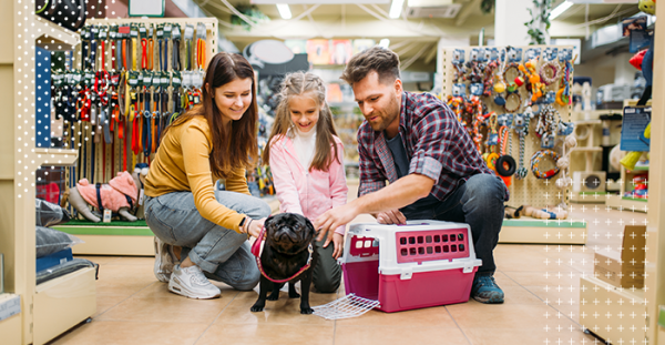 Seguro para pet shops oferece proteção para empresários e clientes